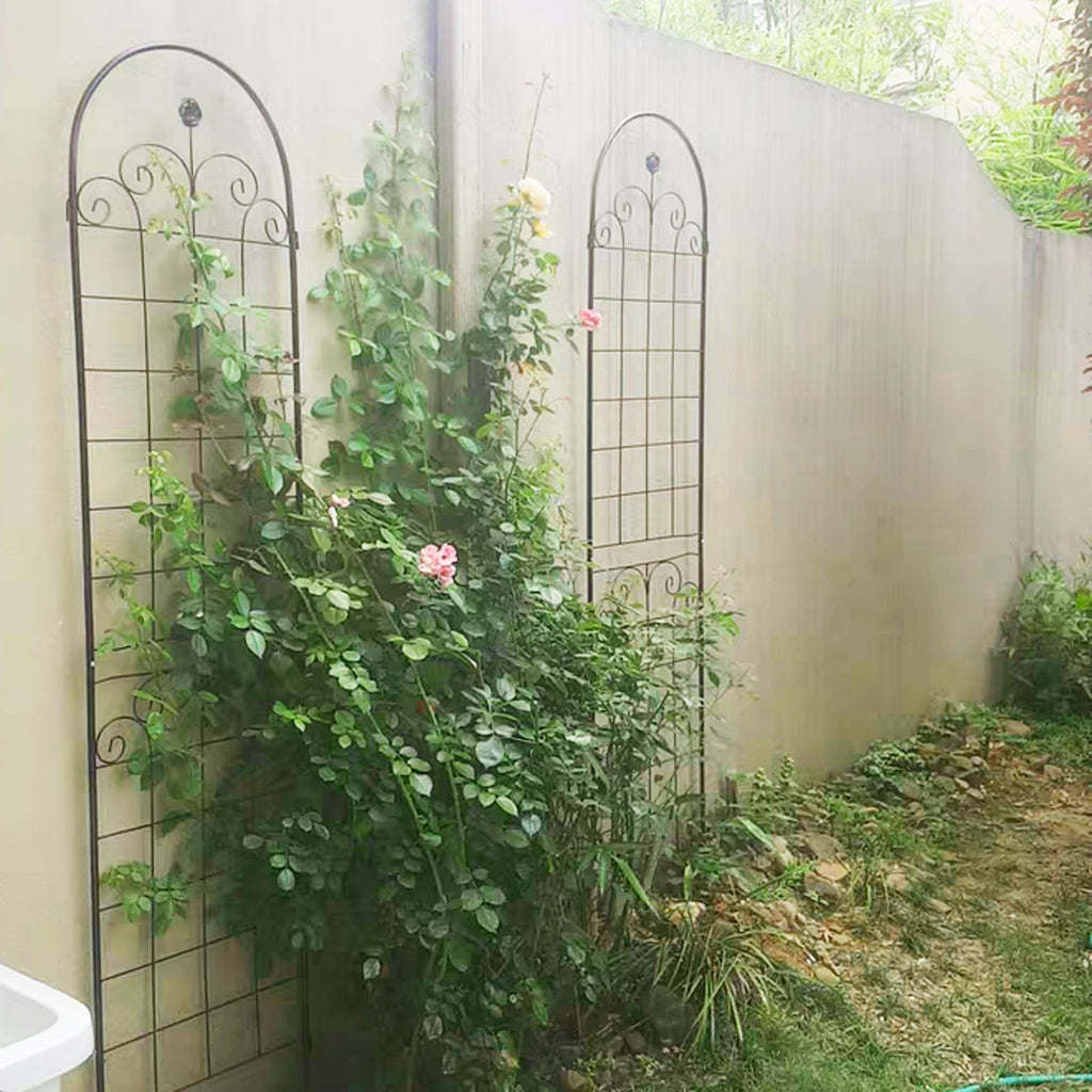 Metal Garden Trellis for Climbing Plants
