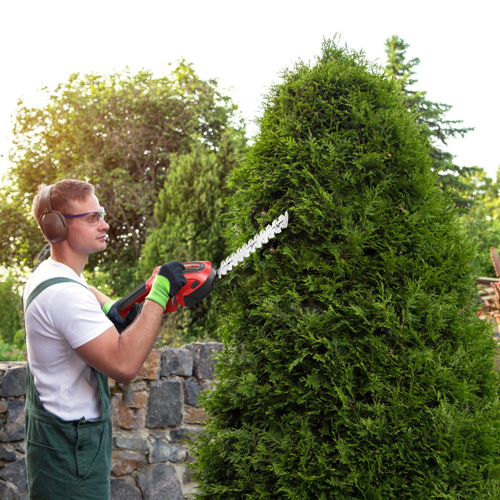 24V Cordless Grass Shear & Hedge Trimmer