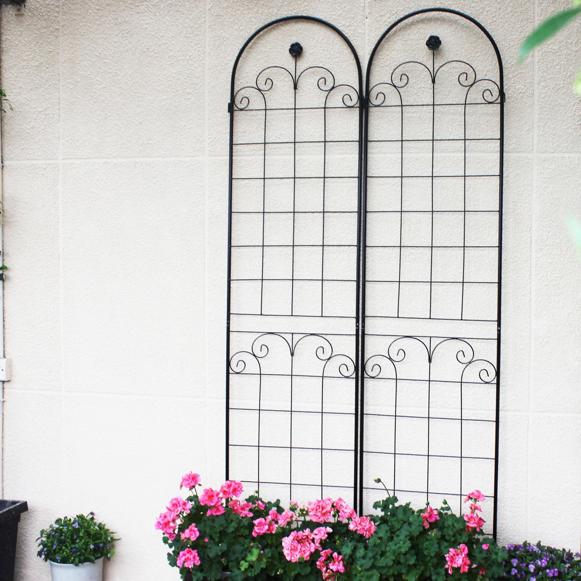 Metal Garden Trellis for Climbing Plants