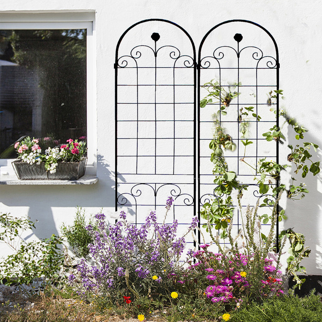 Metal Garden Trellis for Climbing Plants