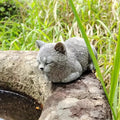 Squinting Cat Resin Garden Ornament
