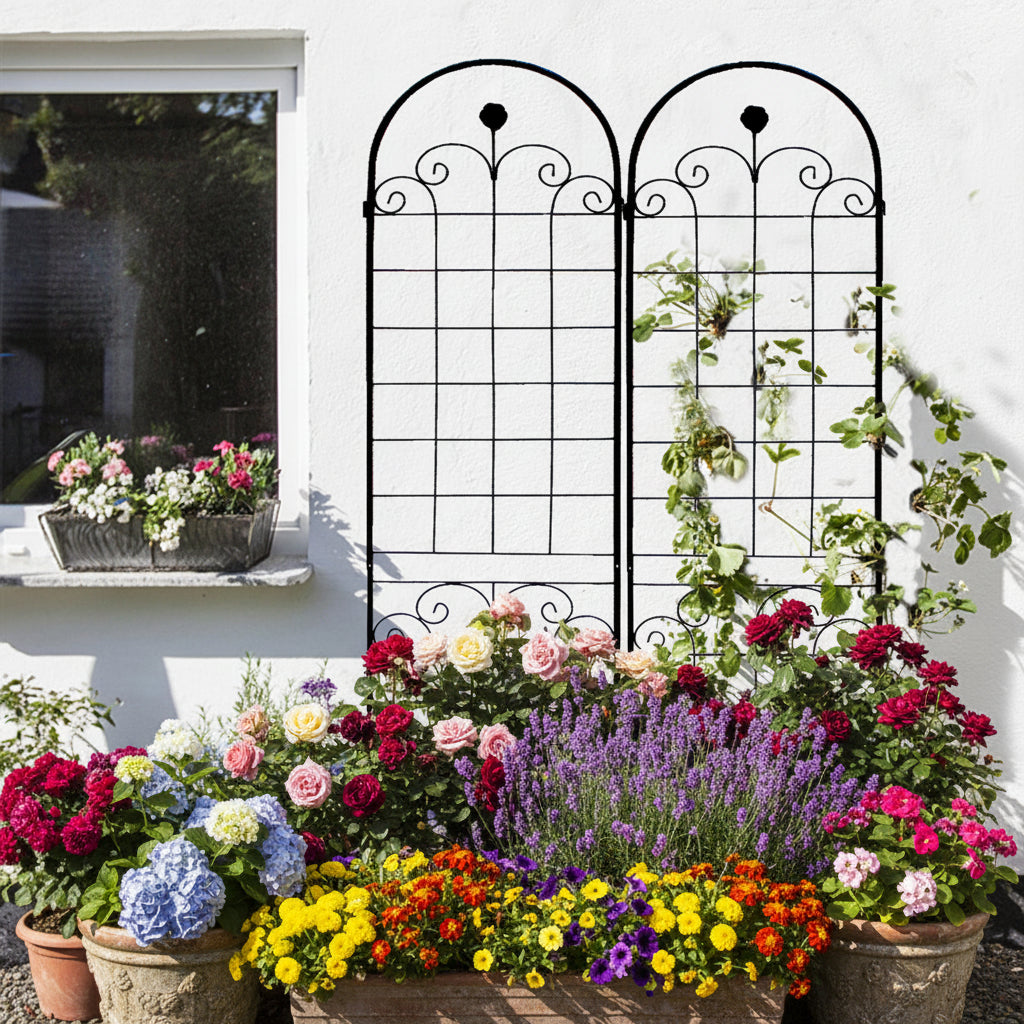 Metal Garden Trellis for Climbing Plants