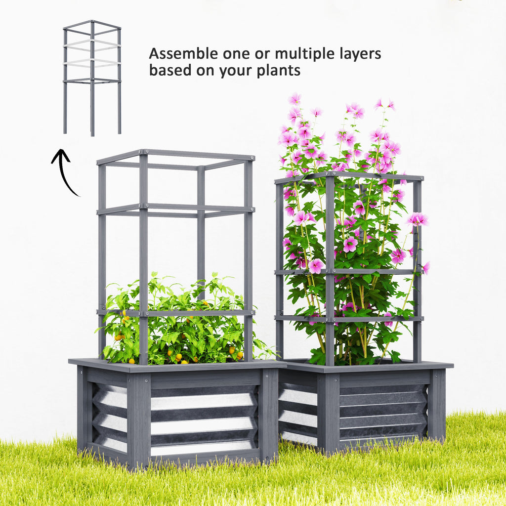 Raised Garden Bed with Trellis