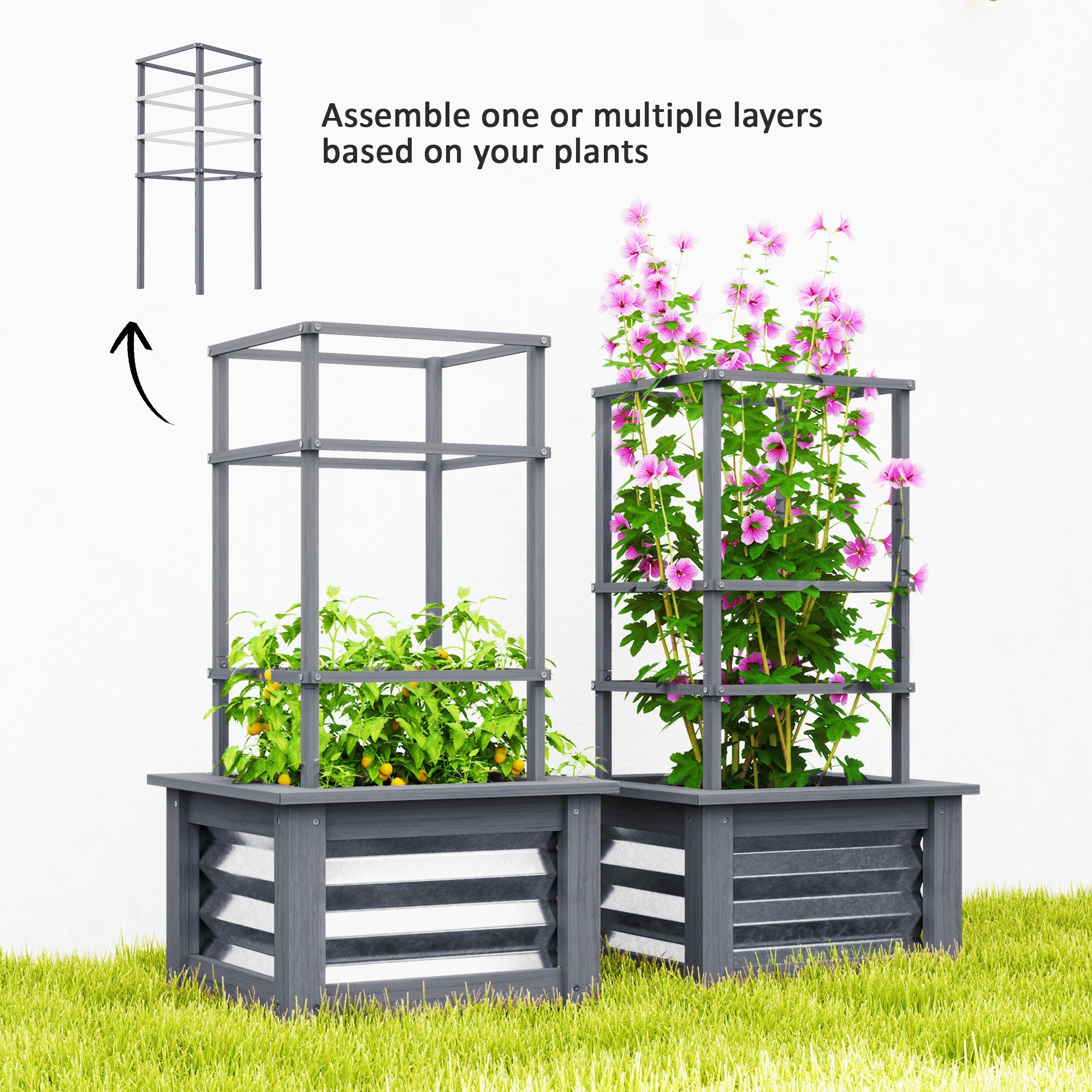Raised Garden Bed with Trellis