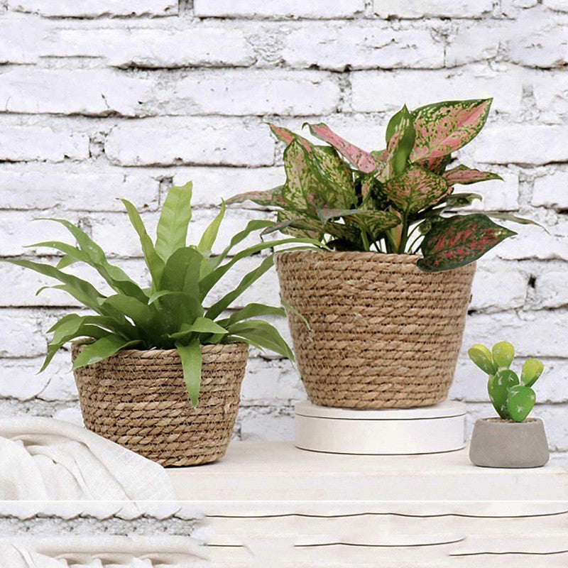 Handwoven Rattan Planter Basket