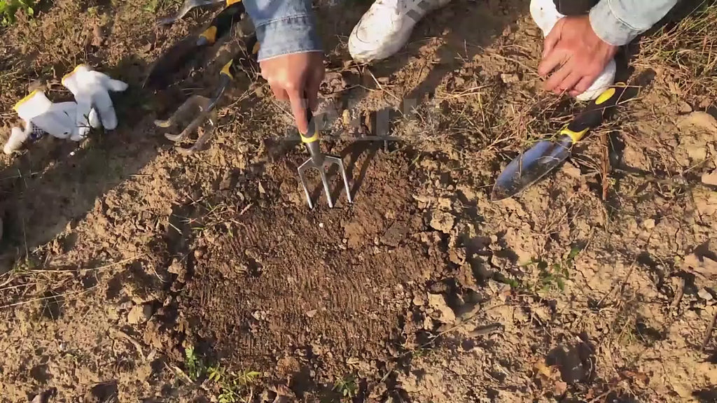 Ergonomic Garden Tool Set - 5-Piece Hand Tools